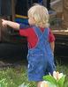 DSCN0951.JPG