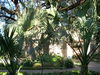 DSCN1343.JPG