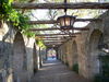 DSCN1344.JPG