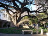 DSCN1350.JPG