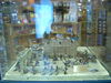 DSCN1367.JPG
