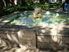 DSCN1411.JPG