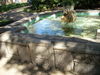 DSCN1413.JPG