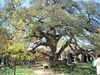 DSCN1428.JPG