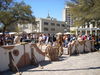 DSCN1432.JPG