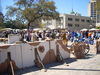 DSCN1434.JPG